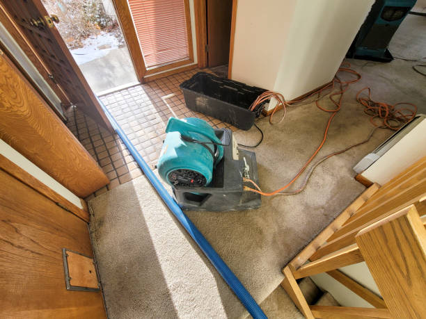 Best Carpet water damage restoration  in Manasquan, NJ