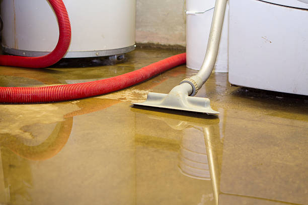 Best 24/7 water damage repair  in Manasquan, NJ