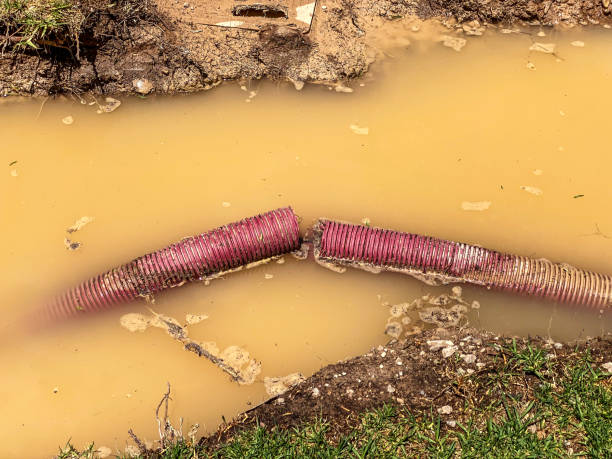 Best Local water damage restoration  in Manasquan, NJ